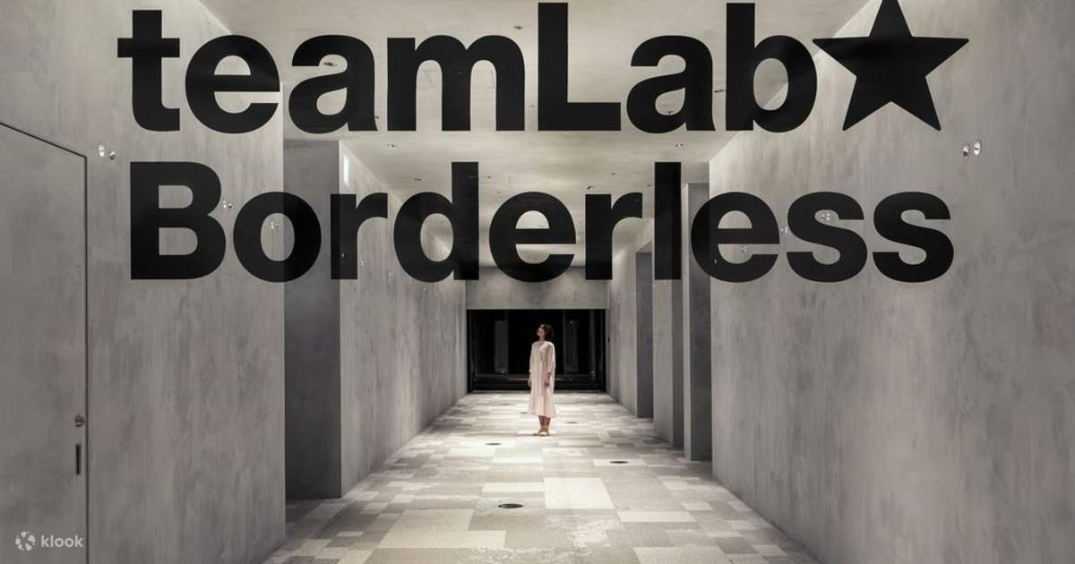 チームラボ 麻布台ヒルズ チケット 森ビル デジタルアート ミュージアム：エプソン チームラボボーダレス